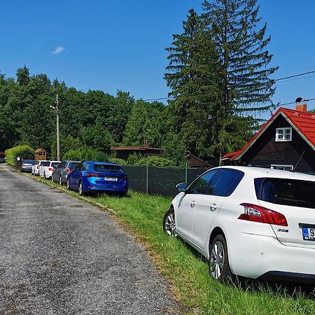 Vily Jedlici Villa Frýdlant nad Ostravicí Exteriör bild