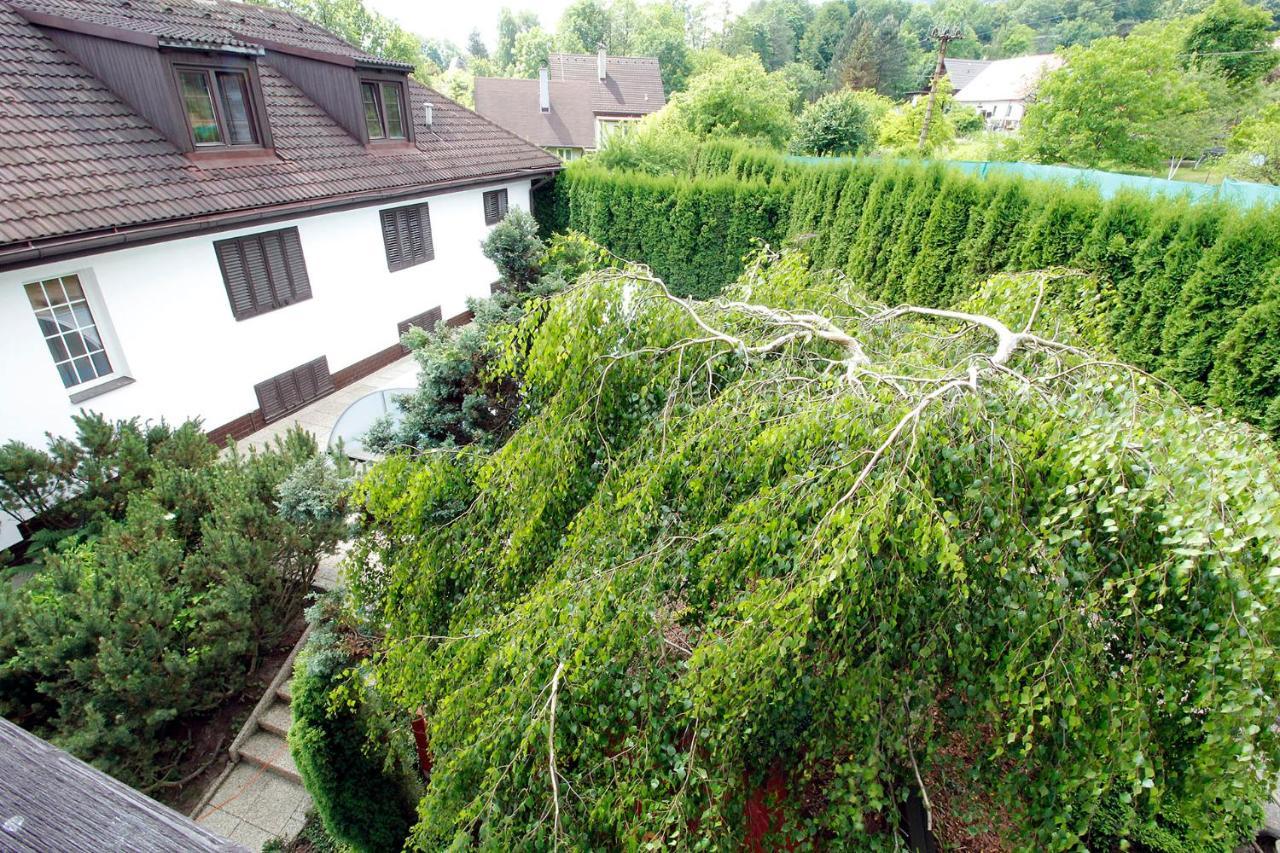 Vily Jedlici Villa Frýdlant nad Ostravicí Exteriör bild